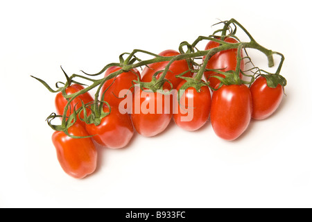Italian Marzinino pomodori a grappolo isolato su un bianco di sfondo per studio Foto Stock