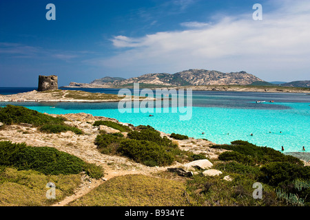 Spiaggia della Pelosa e Isola Piana con il vecchio spagnolo torre di difesa in background. L'Isola dell'Asinara. Stintino. Provincia di Sassari. Sardegna. Italia Foto Stock