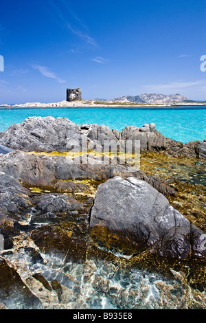 Spiaggia della Pelosa e Isola Piana con il vecchio spagnolo torre di difesa in background. L'Isola dell'Asinara. Stintino. Provincia di Sassari. Sardegna. Italia Foto Stock