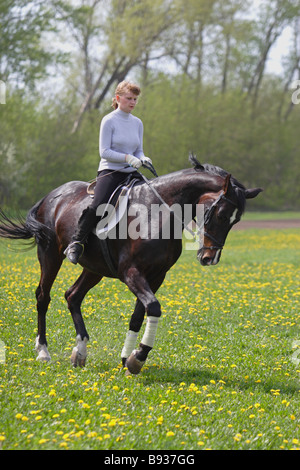 Ragazza giovane in sella ad un cavallo Foto Stock