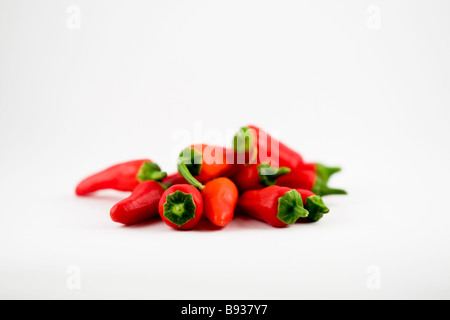 Chilis rosso su sfondo bianco Foto Stock