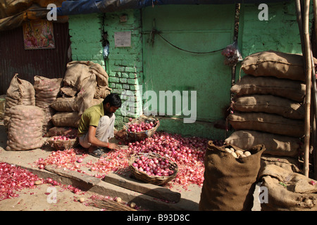 Un venditore vegetali pela le cipolle rosse al mercato Nehru di Nuova Delhi, India. Foto Stock