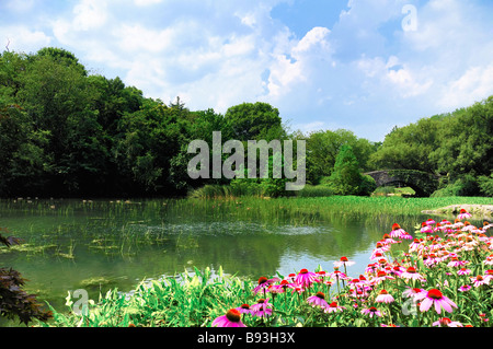 Giornata estiva nel parco centrale di Manhattan estate Foto Stock