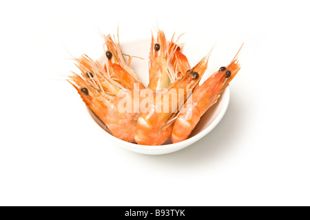 Ciotola di Crevettes gamberetti cotti i gamberi isolato su un bianco di sfondo per studio Foto Stock