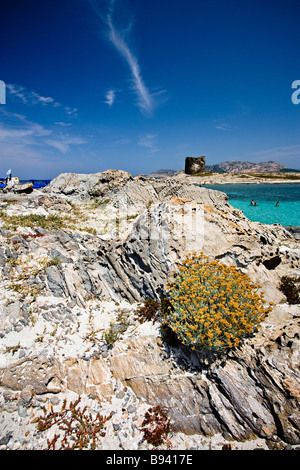 Spiaggia della Pelosa e Isola Piana con il vecchio spagnolo torre di difesa in background. L'Isola dell'Asinara. Stintino. Provincia di Sassari. Sardegna. Italia Foto Stock