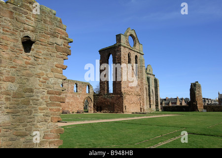 I ruderi di pietra del famoso e storicamente importanti Arbroath Abbey in Scozia, Regno Unito Foto Stock