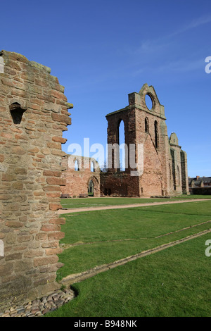 I ruderi di pietra del famoso e storicamente importanti Arbroath Abbey in Scozia, Regno Unito Foto Stock