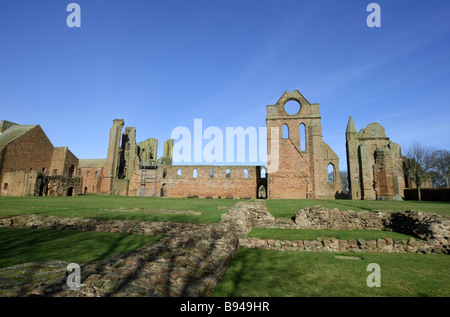 I ruderi di pietra del famoso e storicamente importanti Arbroath Abbey in Scozia, Regno Unito Foto Stock