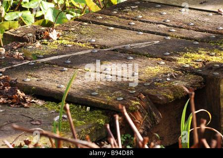 Vecchio piede legno ponte attraverso un piccolo torrente.old tavole coperte di muschio e molto scivoloso, prestare attenzione quando si utilizza questa route. Foto Stock