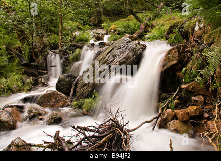 Cascata di bosco vicino Crummock acqua e Buttermere in Cumbria il Lake District Foto Stock