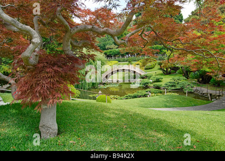 Giardino giapponese Foto Stock