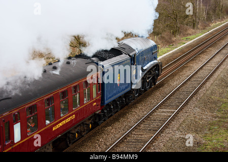 Sir Nigel Gresley trasporta un escursione a vapore Foto Stock