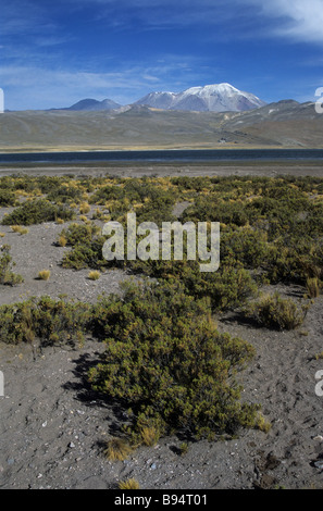 Sabancaya (a sinistra) e vulcani Ampato e Laguna Mucurca, vicino a Cabanaconde, Arequipa Regione, Perù Foto Stock