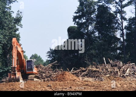 Distruzione ambientale, le operazioni di registrazione e il taglio di alberi, land clearing, sviluppo Foto Stock