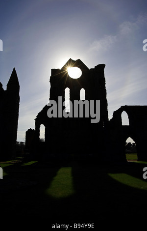 Il sole splende attraverso il rosone del famoso e storicamente importanti resti di Arbroath Abbey in Scozia, Regno Unito Foto Stock
