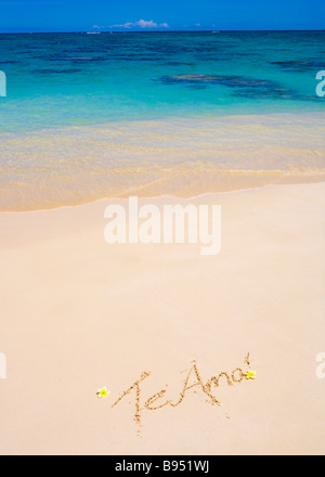 Le parole 'Te amo' sono scritti su di una spiaggia di sabbia in Hawaii con fiori di plumeria a fianco Foto Stock