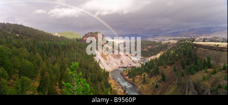 Vista panoramica della torre cade area fiume Yellowstone Parco Nazionale di Yellowstone Wyoming USA Foto Stock