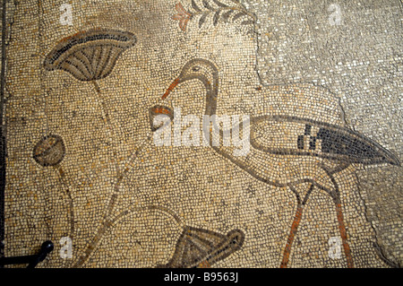 V secolo bizantino pavimento a mosaico che mostra una cicogna presso la chiesa della moltiplicazione dei pani e dei pesci in Tabgha sulla riva del mare di Galilea Foto Stock