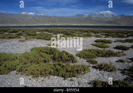 Hualca Hualca (a sinistra), Sabancaya (centro) e vulcani Ampato e Laguna Mucurca, vicino a Cabanaconde, Arequipa Regione, Perù Foto Stock