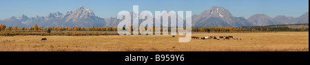 Vista panoramica, Grand Tetons, Wyoming Foto Stock