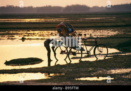 BANGLADESH Asia del Sud Sylhet uomo risciò per la pulizia in acqua di inondazione stagliano golden sunset riflessa nell'acqua. Foto Stock