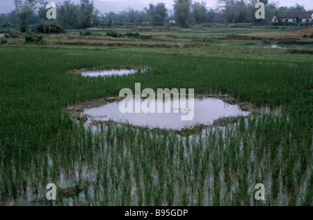 Guerra del Vietnam nord risaie con bomba crateri da noi bombardamenti. Foto Stock