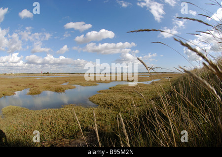 Le zone umide che confinano con l'entrata sul canale di porto di segale segale riserva naturale sussex Foto Stock