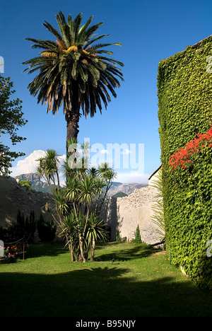 L'Italia, Campania, Salerno, Ravello, Villa Cimbrone. Palm tree accanto a parete di edificio coperto da verdi superriduttore a villa entrata. Foto Stock