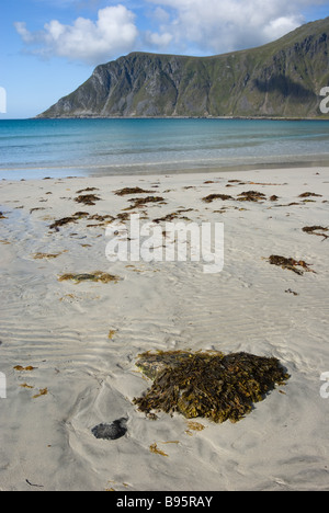 Spiaggia di sabbia vicino a Ramberg, Flakstad, Flakstadøya isola, isole Lofoten, Nordland, Norvegia, Scandinavia, Europa Foto Stock