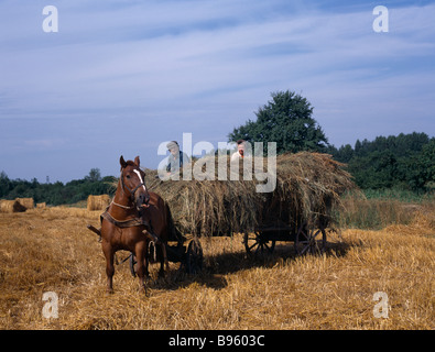 La Lituania i lavoratori agricoli sul cavallo carrello nel campo di fieno tagliato Foto Stock