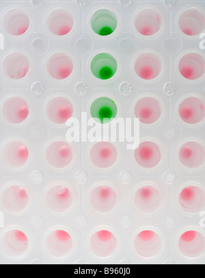 Una piastra da 96 pozzetti utilizzata in settori di ricerca medica e biologica Foto Stock