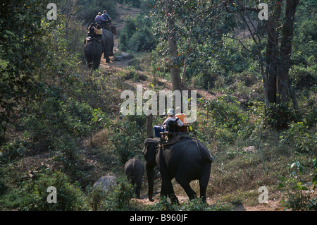 Thailandia Nord di Chiang Mai i turisti del trekking sugli elefanti nella giungla nelle colline al di fuori della città del nord Foto Stock