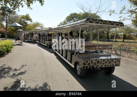 People Mover tram in Miami Zoo. Foto Stock