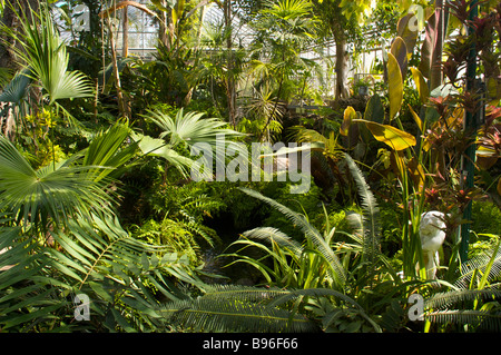 Oak Park Conservatory Illinois Foto Stock