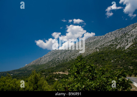 La Bosnia ed Erzegovina, verdi colline Foto Stock