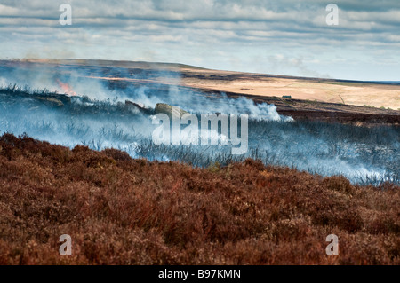 Combustione controllata di vecchi heather su Barden cadde, North Yorkshire dal guardiacaccia di Bolton Abbey Estate Foto Stock