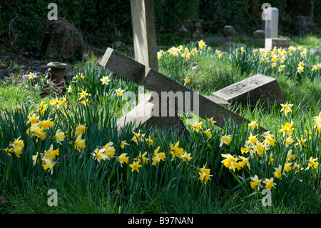 Southampton vecchio cimitero è situato nel comune di Southampton Foto Stock