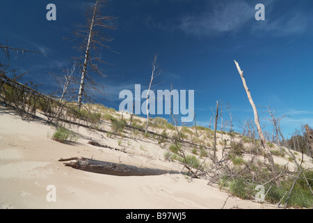 Lacka Gora dune mobili di spinta anteriore oltre il bosco di alberi Parco Nazionale di Slowinski Leba Polonia Foto Stock