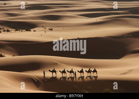 I turisti sul cammello indietro trek attraverso la Erg Chebbi sandunes nel Marocco orientale al tramonto 14 3 2006 foto di Fabio De Paola Foto Stock