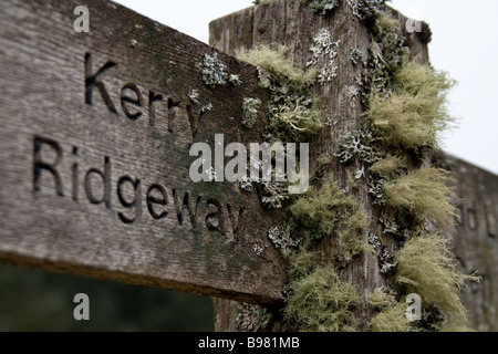 Un muschi e licheni coperto Kerry Ridgeway, signpost Poys, Galles Foto Stock