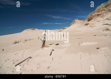 Lacka Gora dune mobili di spinta anteriore oltre il bosco di alberi Parco Nazionale di Slowinski Leba Polonia Foto Stock