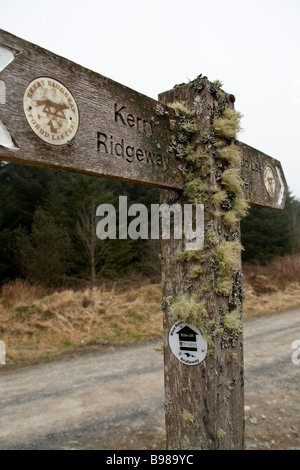 Un muschi e licheni coperto Kerry Ridgeway cartello vicino a Newtown, POWYS, GALLES Foto Stock