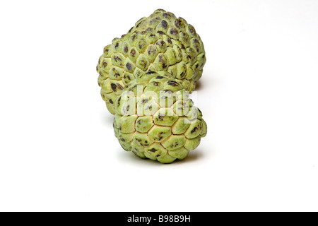 Zucchero fresche apple Foto Stock