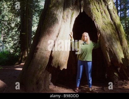 Donna di fronte gigante di abete di Douglas Foto Stock