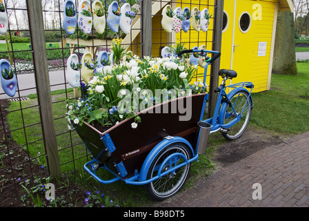 I narcisi, tulipani e bulbi di primavera sono piantati in una bicicletta carrello e visualizzato in giardini Keukenhof in Lisse, Paesi Bassi Foto Stock