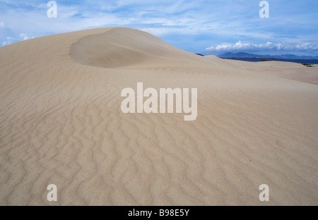Corralejo's dune di sabbia, Fuerteventura, Isole Canarie. Foto Stock
