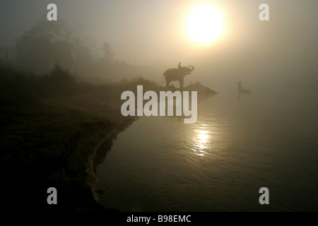 Un elefante e scavato in canoa la nebbia di mattina lungo il fiume Rapti confinante Chitwan il parco nazionale a Sauraha, Nepal. Foto Stock