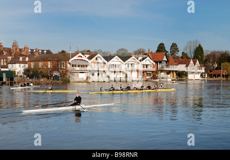 I canottieri sul Fiume Tamigi a Henley on Thames Foto Stock