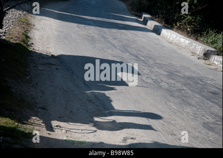 Ombra del trenino, il Darjeeling Himalayan Railway, Darjeeling, India Foto Stock