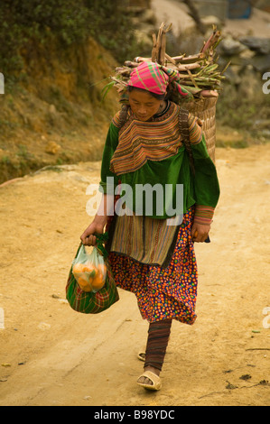 Fiori colorati donna Hmong trasportare il legno dal mercato in Cau figlio vicino a Bac Ha Vietnam Foto Stock